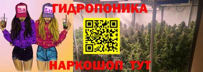 кокс Будённовск