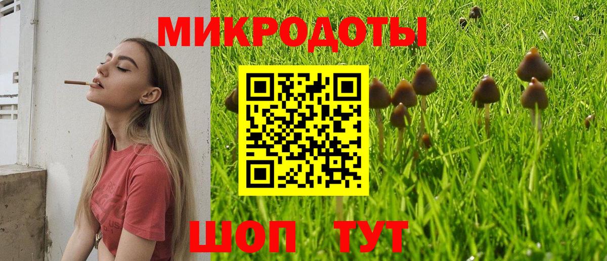Галлюциногенные грибы прущие грибы  Вход с VPN  Куйбышев  Псилоцибиновые грибы мухоморы 